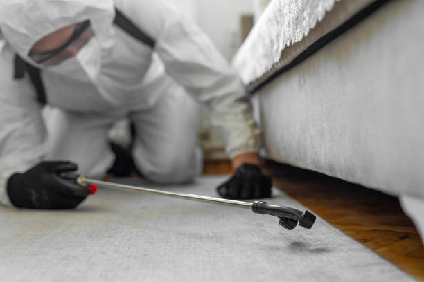 Professional Termite Control technician working in McCrory, AR
