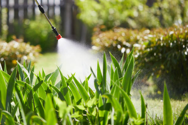 24/7 Emergency Termite Control experts in McCrory, AR