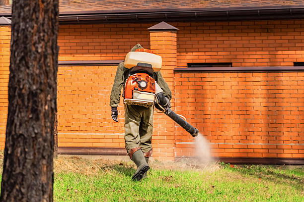 Top rated local Termite Control specialists in McCrory, AR